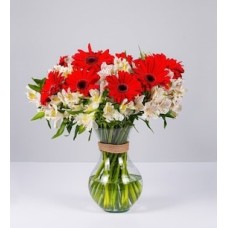 Arrangement of Red Gerberas and Astromelias