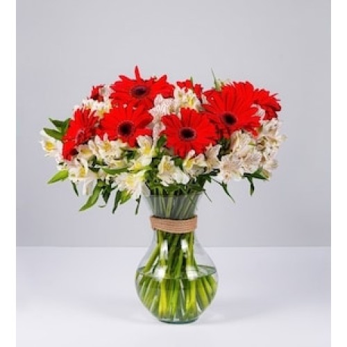 Arrangement of Red Gerberas and Astromelias