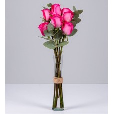 6 Fucsia Roses