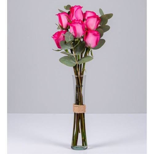 6 Fucsia Roses