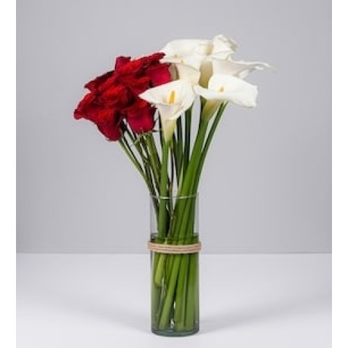 Alcatraz and Red Rosa