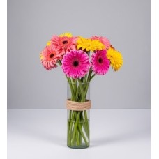 15 Colored Gerberas