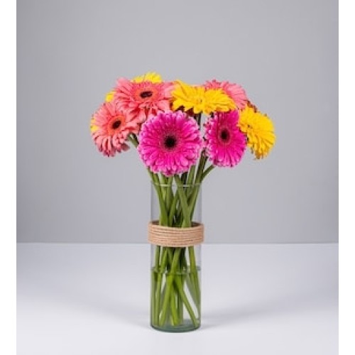 15 Colored Gerberas