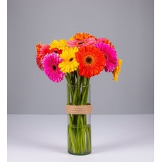 Colorful Gerbera Flowers in Vase