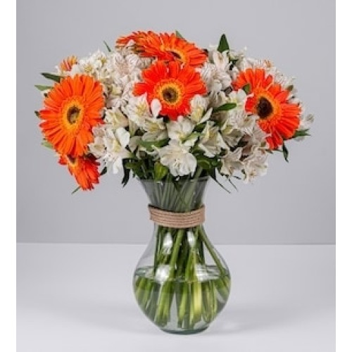 Orange gerberas arrangement and astromelias