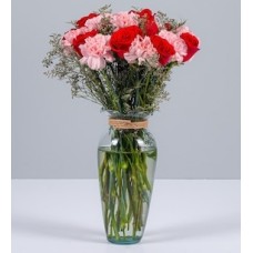 Red Rose and Pink Carnations