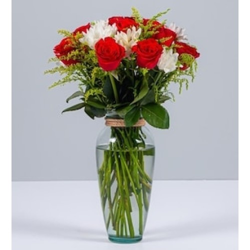 Red Rose and White Daisy
