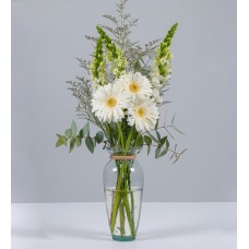 3 White Gerberas And Perritos