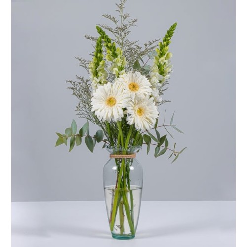 3 White Gerberas And Perritos