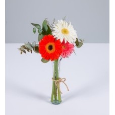 Summer Gerberas in Violetero