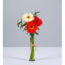 Autumn Gerberas in Purple