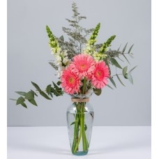 Pink Gerberas and Puppies