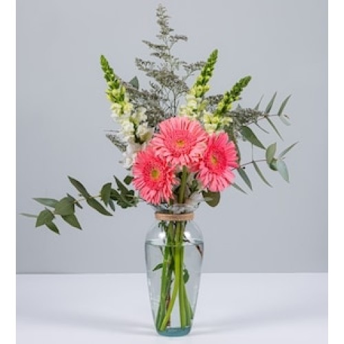 Pink Gerberas and Puppies