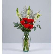Red Roses with White Dogs