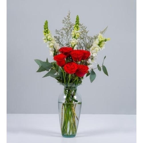 Red Roses with White Dogs