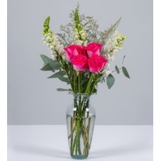 Pink Roses with White Dogs