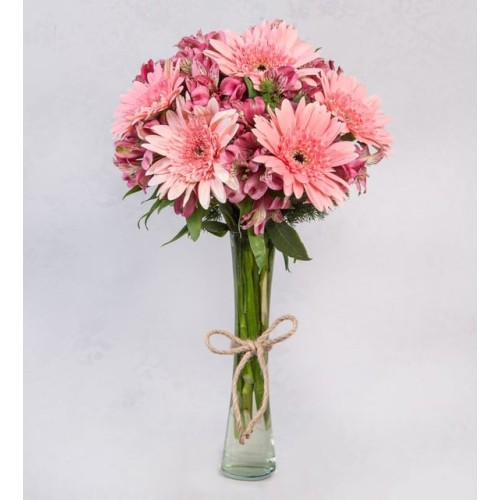 Pink Astromelias and Red Gerberas in Vase