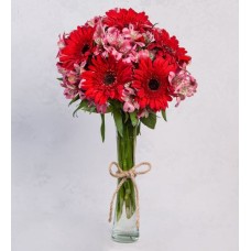 Red Gerberas And Pink Astromelias