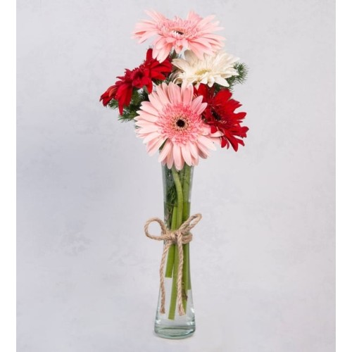 Gerberas Of Love In Thin Vase