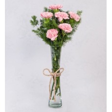 Pink Carnations In Purple