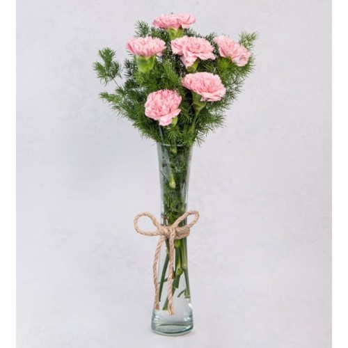 Pink Carnations In Purple