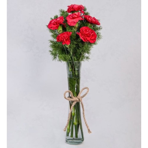 Red Carnations In Thin Vase