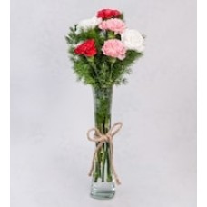 Tricolor Carnations in Violetero