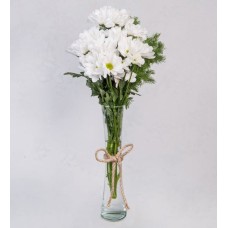 White Daisies On Thin Vase