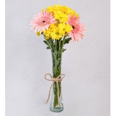 Pink Gerberas and Yellow Daisies in a Vase