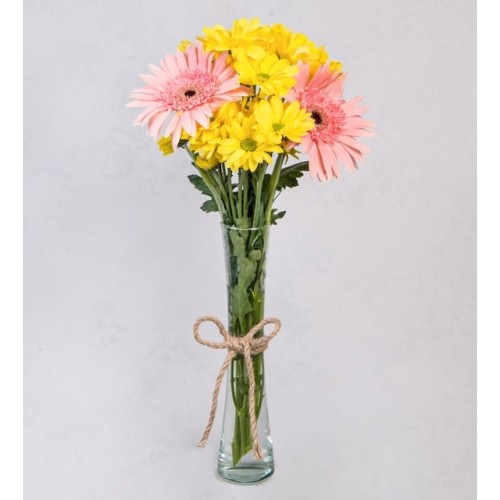 Pink Gerberas and Yellow Daisies in a Vase