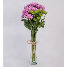 Thin Vase Of Purple Daisies And Yokos