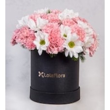 White Daisies and Pink Carnations in a Petite Box