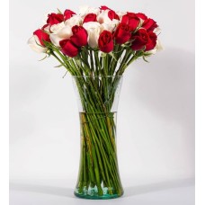 50 Red And White Roses