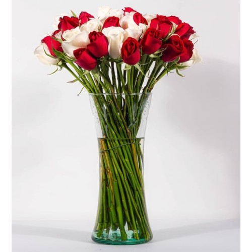 50 Red And White Roses