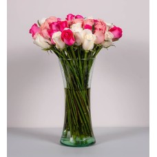 50 Pink, Fuchsia And White Roses