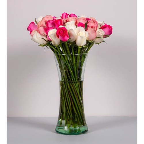 50 Pink, Fuchsia And White Roses
