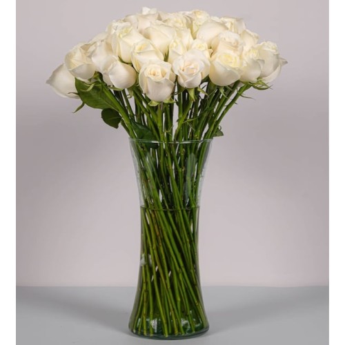50 White Roses
