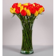 50 Yellow And Orange Roses