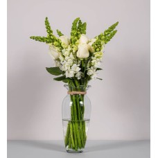 Detail Of White Roses And Perritos
