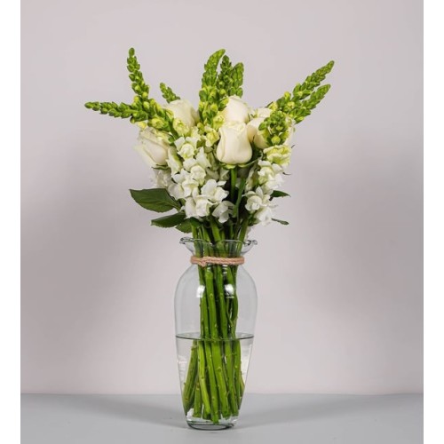 Detail Of White Roses And Perritos