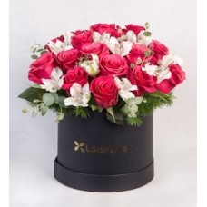Topaz and Astromelia Roses in Box