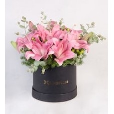 Lily Rosas with details in Box