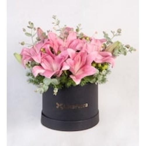 Lily Rosas with details in Box