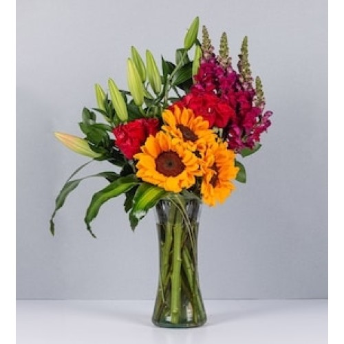 Special Selection Arrangement