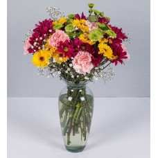 Mixed Daisy Arrangement