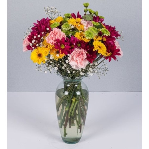 Mixed Daisy Arrangement