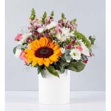 Sunflower and Daisies Pot
