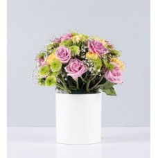 Lilac Roses and Carnations Pot