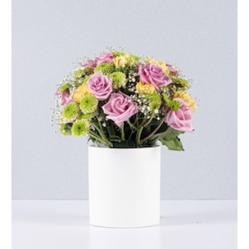 Lilac Roses and Carnations Pot