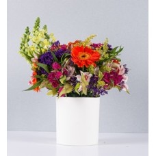 Colorful Mix Pot